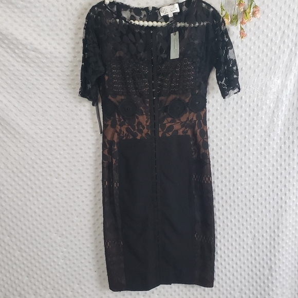 NWT Bryon Lars Anthropologie Carissima Sheath Dress Size 2 P Petite - Picture 4 of 11